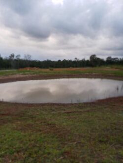 Small pond created by Big Ditch Dam Building Company for water storage and land management.