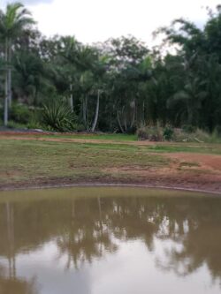 Construction of custom dam by Big Ditch Dam Building Company in a natural setting with water and lush trees.