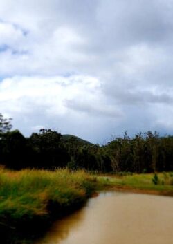 Heavy machinery building dam in natural landscape for water management and environmental conservation.