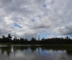 Large pond or water reservoir with trees and cloudy sky, related to dam building and water management.