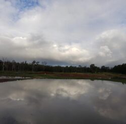 Lake with dam construction reflecting cloudy sky and surrounding trees, showcasing expert dam building services.