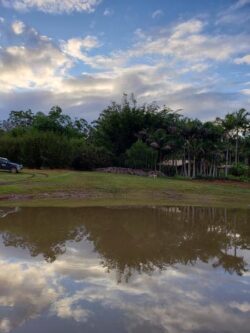 Heavy construction site with pond, lush greenery, and cloudy sky, highlighting dam building projects.