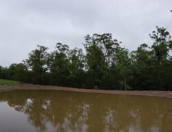 Earth dam construction site with water and surrounding trees for flood control and water management.