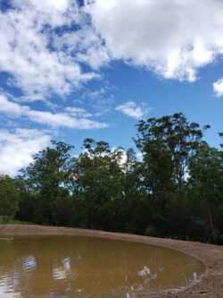 Heavy-duty dam construction site with water reservoir in forested area by Big Ditch Dam Building Company.