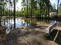 1. Dam construction site with pond and surrounding trees in daytime.