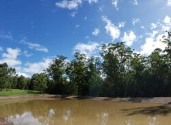 Heavy-duty dam construction in progress at Big Ditch Dam Building Company for water management.