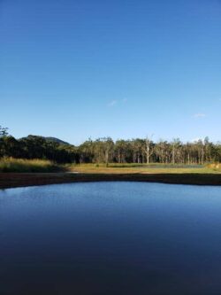 Heavy machinery building a dam at Big Ditch Dam Building Company, providing expert dam construction services.