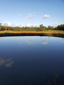 Untouched dam with calm water and surrounding forest, showcasing professional dam building services.