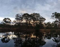 1. Dam construction near river with trees, landscape, and water reflection.