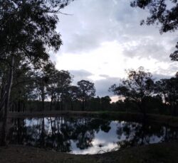 Serene dam construction site with reflective water and surrounding trees, showcasing Big Ditch Dam Building expertise.