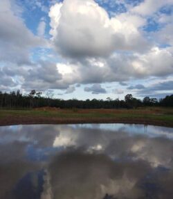 Calm pond with cloudy sky reflecting on water, peaceful outdoor construction site.