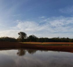Rolling hills and trees near a calm water body during daytime, showcasing dam construction by Big Ditch Dam Building Company.
