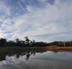 Heavy equipment constructing a dam with reflective water and lush trees, expert dam building by Big Ditch Dam Building Company.