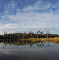 Lakes and dam construction by Big Ditch Dam Building Company.