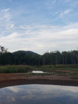 Excavation site at Big Ditch Dam Building Company for dam construction and earthworks.