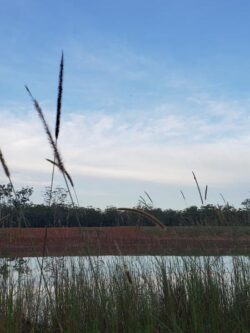 1. Construction of dam with Big Ditch Dam Building Company in progress, water and landscape.