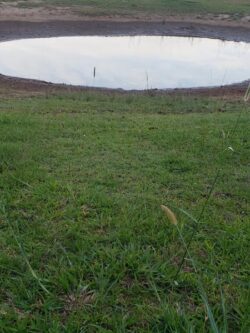 A pond with a dam built by Big Ditch Dam Building Company for water management and irrigation.