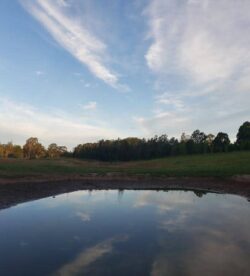 Gear up for expert dam building solutions with Big Ditch Dam Building Company, specializing in reliable infrastructure.