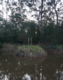 Small dam structure built by Big Ditch Dam Building Company in a natural setting.