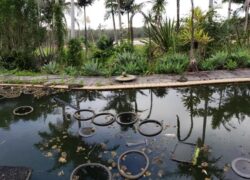 Dam construction site with water containment and natural landscaping.