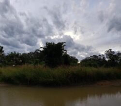 Dam construction site with natural water body and lush greenery under cloudy sky.