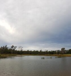 Tranquil water dam with natural landscape during overcast weather for dam construction projects.