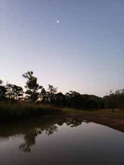 Repair and construction site of dam building companies, Big Ditch Dam Building Company, at sunset with trees and water reflection.