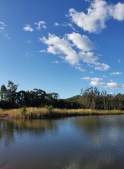 Tranquil dam with lush trees and blue sky, built by Big Ditch Dam Building Company for water storage.