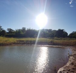 1. Dam construction site with water reservoir and natural surroundings.