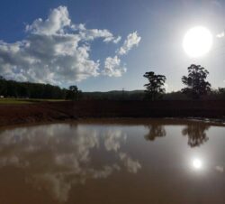 Excavation and dam construction by Big Ditch Dam Building Company in a rural landscape.