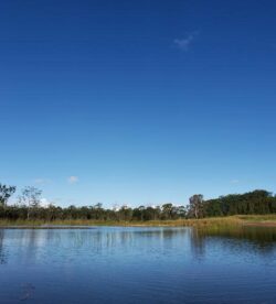 Tranquil dam built by Big Ditch Dam Building Company in scenic natural landscape.