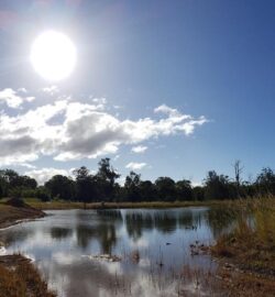 Dam construction site with water and natural landscape, experienced Big Ditch Dam Building Company.