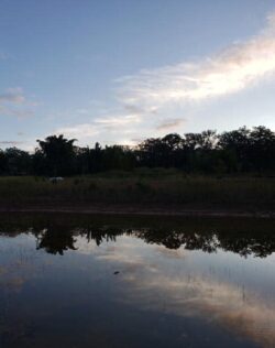 Tranquil dam built by Big Ditch Dam Building Company with reflective water surface.