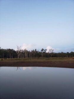 Lush landscape with dam construction site and water reservoir, emphasizing expert dam building services.