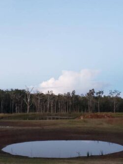 Heavy machinery building a dam in a rural area with a pond and forest in the background.