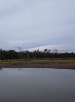 Heavy machinery constructing dam in rural landscape, Big Ditch Dam Building Company experts.