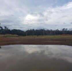 Concrete dam construction by Big Ditch Dam Building Company in a rural landscape.