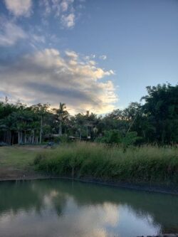 Heavy-duty dam construction site with natural landscape and water barriers for irrigation or flood control.