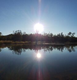 1. Dam construction at Big Ditch Dam Building Company for reliable water management.