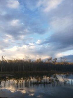 1. Dam construction site overview with water and cloudy sky 2. Scenic view of dam project reflecting in calm water with cloudy sky 3. Big Ditch Dam Building Company specializes in professional dam construction services 4. A peaceful landscape showcasing dam building expertise and site development.