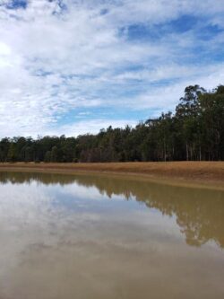 Lakeside dam construction by Big Ditch Dam Building Company in scenic natural setting.