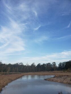 Empty river dam under blue sky with trees in background - Big Ditch Dam Building Company.
