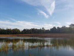 Concrete dam construction by Big Ditch Dam Building Company in progress.