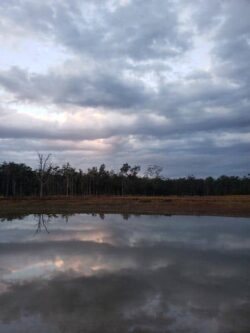 Heavy cloud sky over a reflective water surface in a rural area, showcasing dam construction.