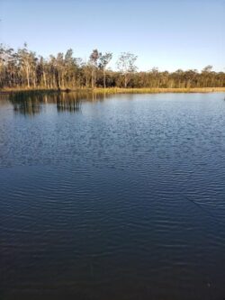 Clean water dam constructed by Big Ditch Dam Building Company, expert in dam building services.