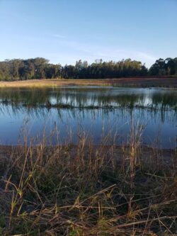 1. Dam construction site by Big Ditch Dam Building Company with water and natural landscape.