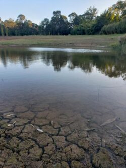 Water dam construction site with natural surroundings and clear water reflection.