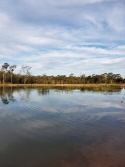 Calm water body with natural landscape, ideal for dam building projects in Australia.