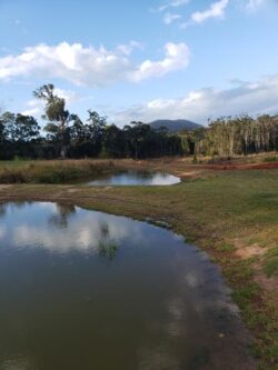 Water dam constructed by Big Ditch Dam Building Company in natural landscape.