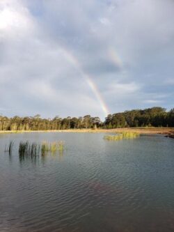 Flooded landscape with rainbow and dam, Big Ditch Dam Building Company, water reservoir, dam construction, water management infrastructure, flood prevention, environmental impact.